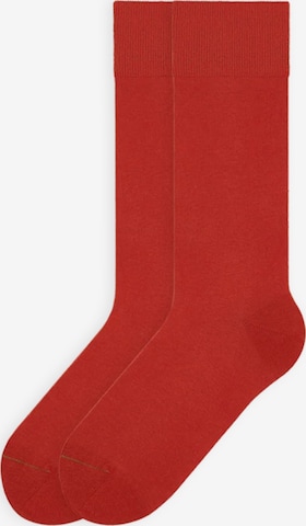 Von Jungfeld Socks 'SIGNATURE' in Red: front