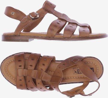 PIKOLINOS Sandals & High-Heeled Sandals in 38 in Brown: front