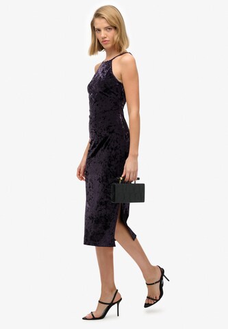 Superdry Jurk in Lila