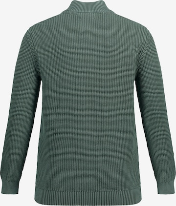 JP1880 Pullover in Grün