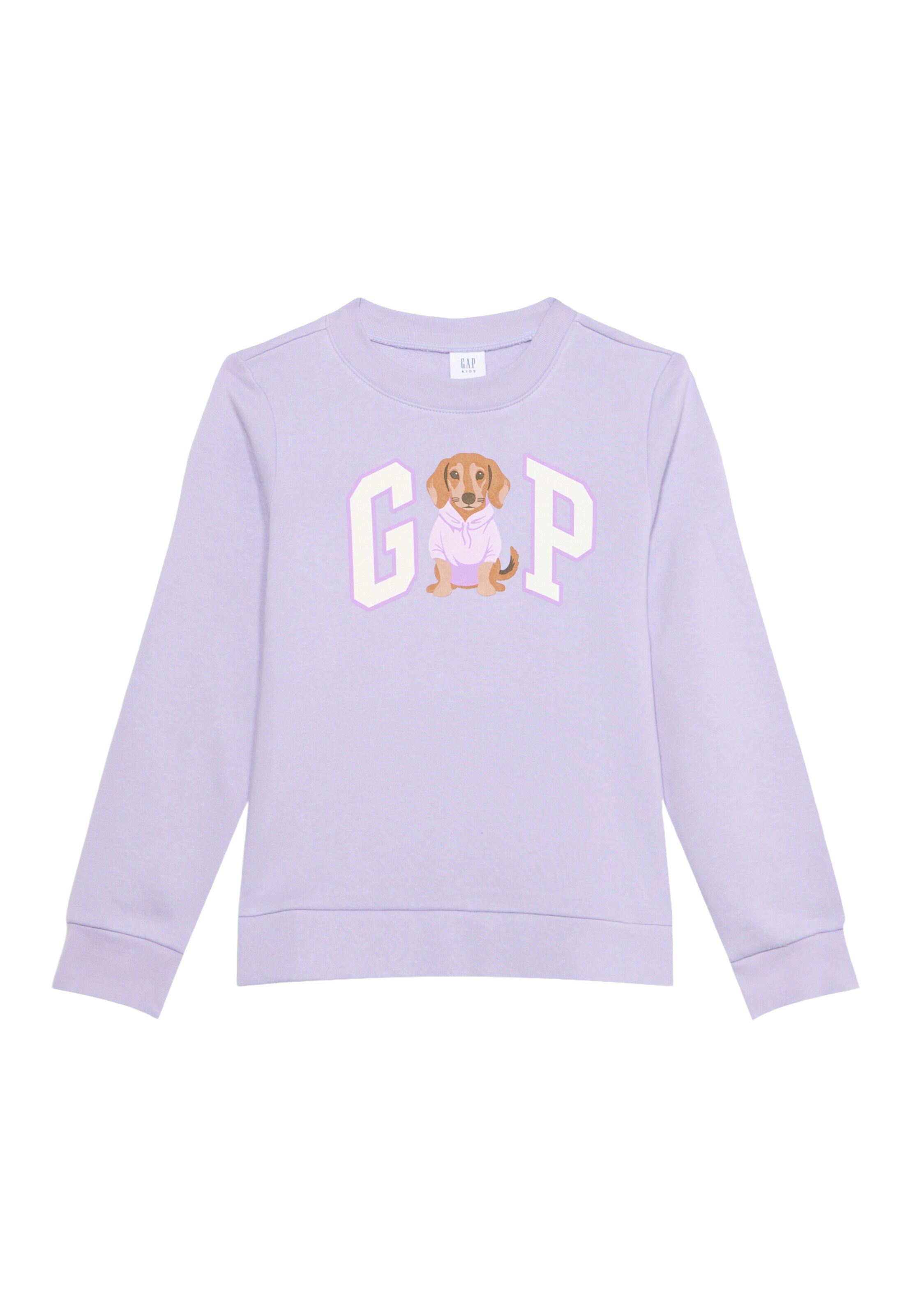 GAP Sweatshirt in 104-110 in pueblo / cappuccino / lavendel / weiß, Produktansicht