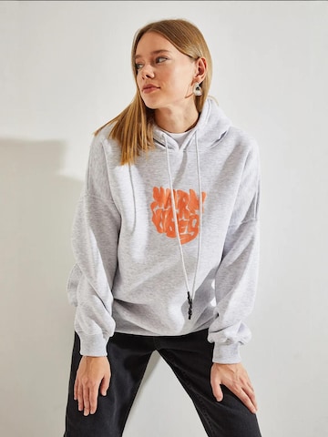 Bianco Lucci Sweatshirt in Grijs