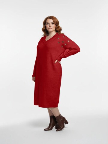 Shape Of You Kleid‌‌‌‌ in Rot