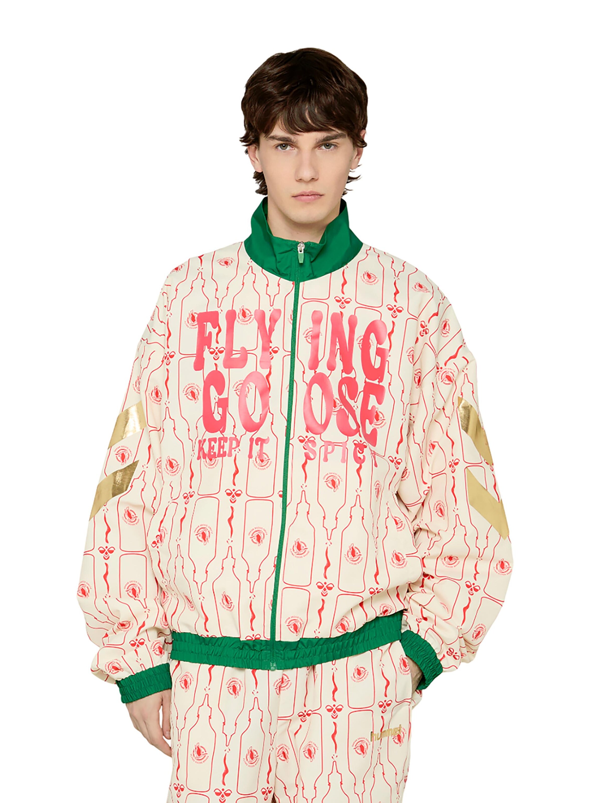 Hummel Training Jacket 'Sriracha' in Mixed colors