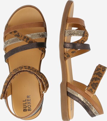 BULLBOXER Sandals in Brown