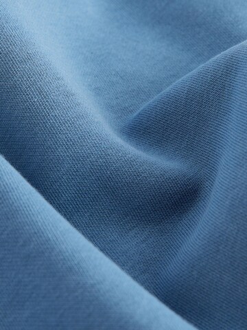 Next Sweatshirt in Blue