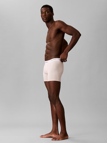 Calvin Klein Boxershorts in Mischfarben