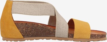 IGI&CO Sandalen met riem in Geel