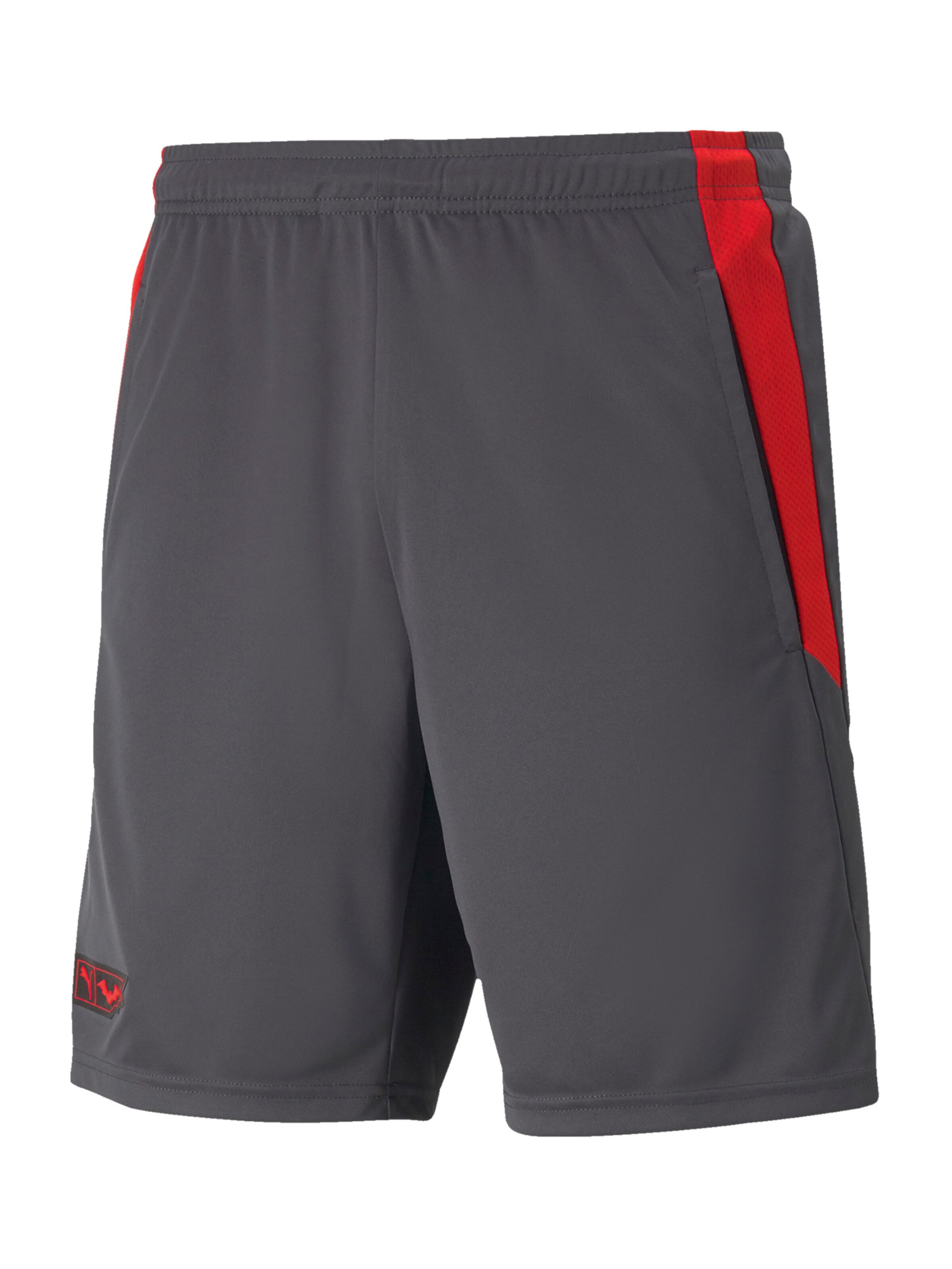 PUMA Regular Sporthose in Grau: Vorderseite