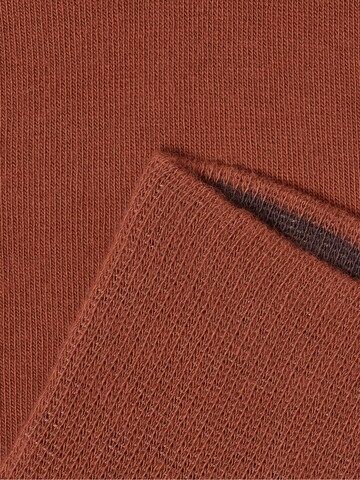 Von Jungfeld Socks 'Herbstfarben' in Brown