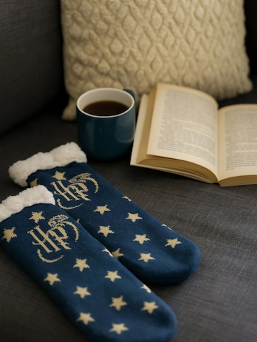 Harry Potter Socks in Blue