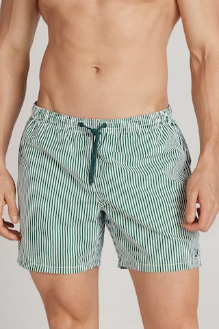 INTIMISSIMI Swim Trunks in Green: front