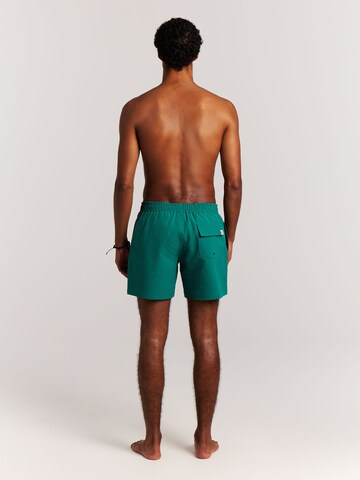 PROTEST Board Shorts 'PRTAgden' in Green