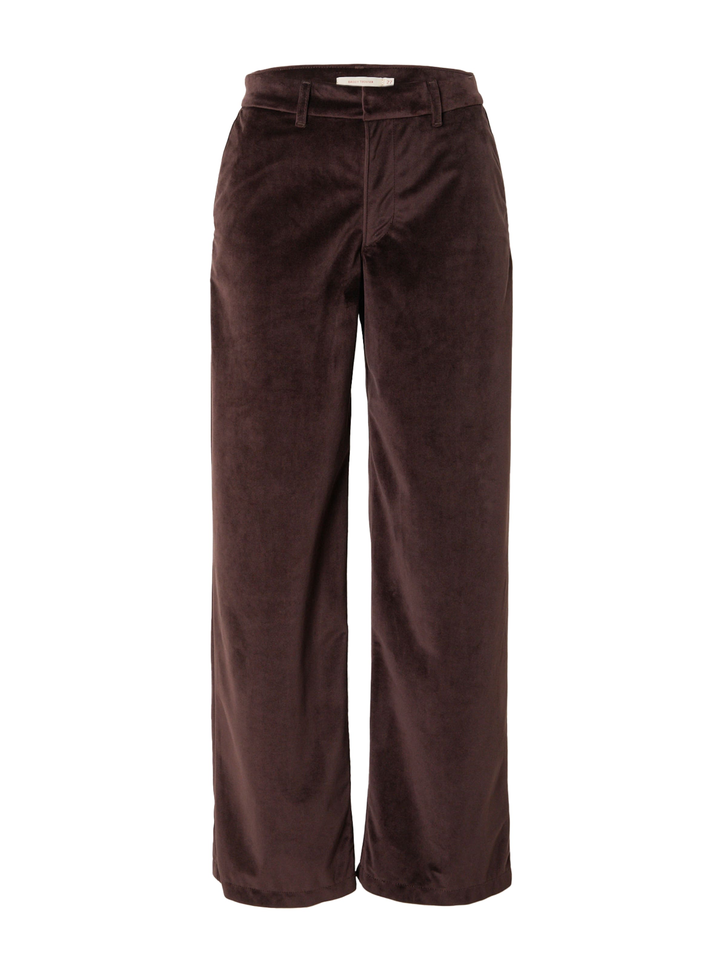 Pantalon à plis 'Baggy Trouser' LEVI'S ® en marron : devant
