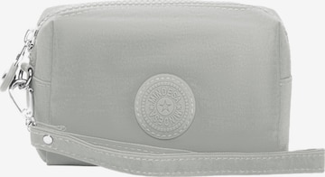 Mindesa Toiletry Bag in Grey: front