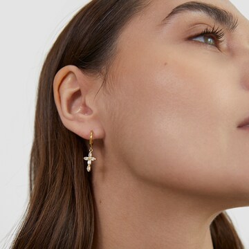 Tamaris Ohrringe in Gold: Vorderseite