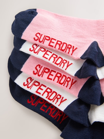 Superdry - Calcetines en rosa