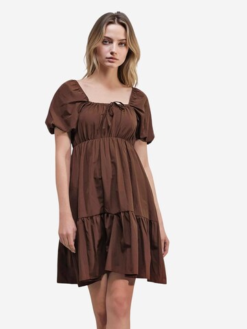 Bigdart Dress in Brown: front