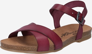 COSMOS COMFORT Sandal in Red: front