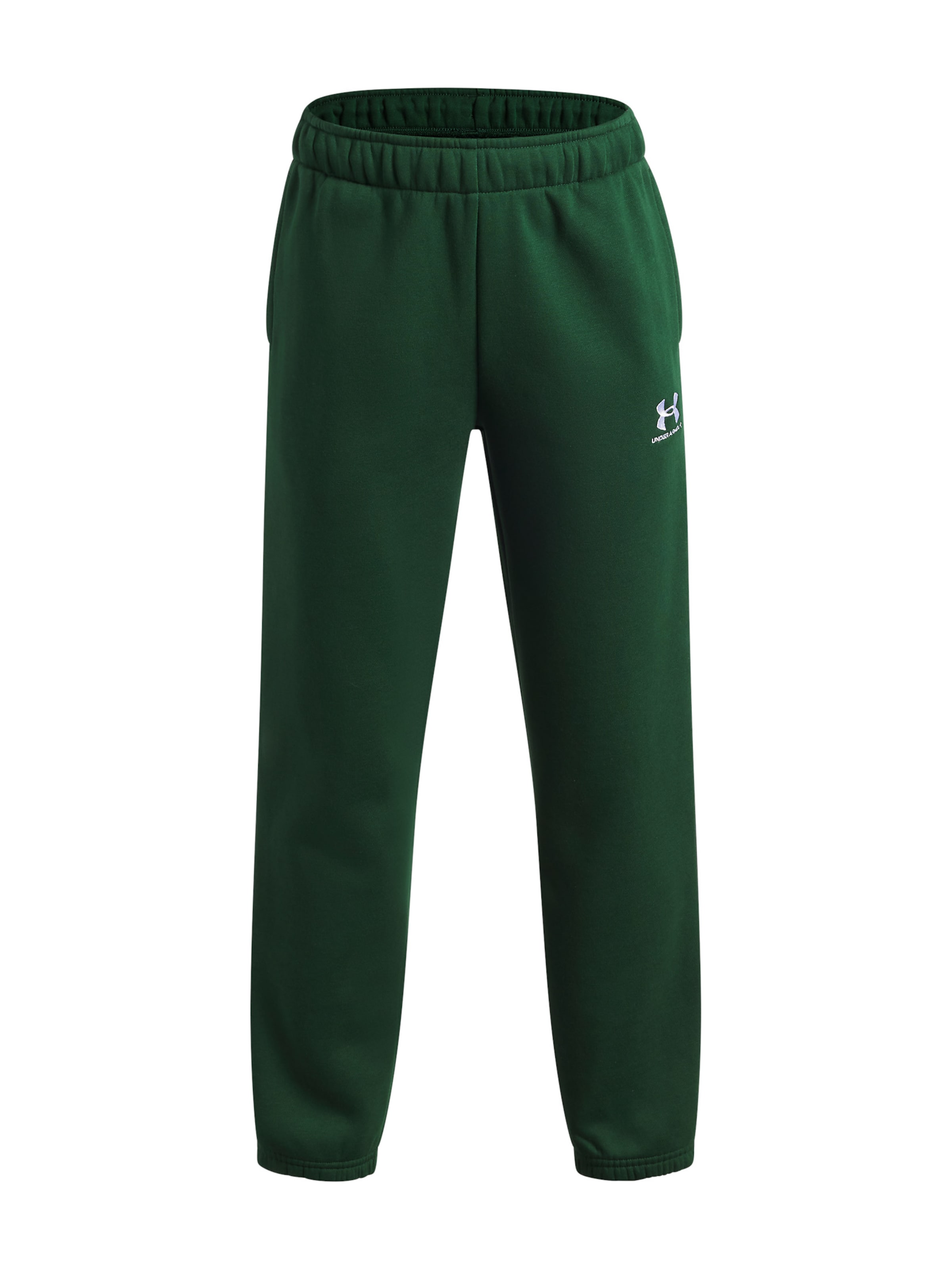 UNDER ARMOUR Tapered Sportbroek 'Icon Flc' in Groen: voorkant