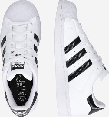 balta ADIDAS ORIGINALS Sportbačiai 'Superstar'