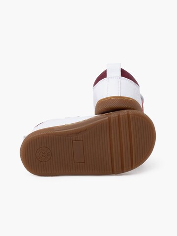 Pisamonas Sneaker in Rot