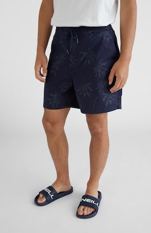 O'NEILL Loosefit Shorts 'Tasman' in Blau: predná strana