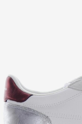 Pepe Jeans Sneakers & Trainers in 40 in White