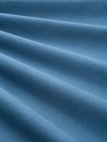 TOM TAILOR Men + Sweatshirt in Blue