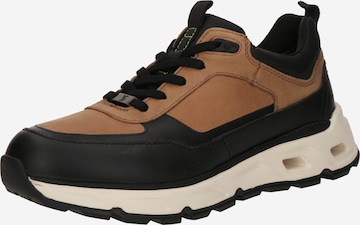 SALAMANDER Platform trainers in Brown: front