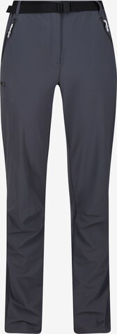 REGATTA Regular Outdoor Pants 'Xert III' in Grey: front