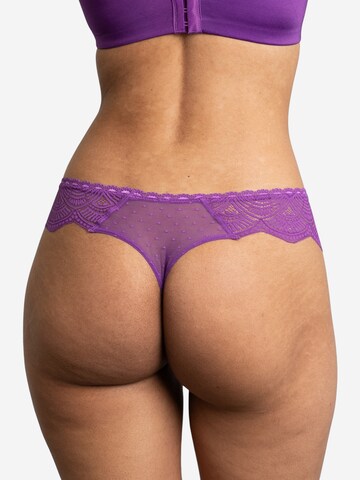 String 'Clara' SugarShape en violet