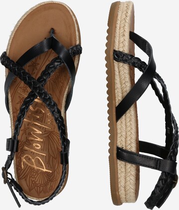 Flip-flops 'FOXTAIL' de la Blowfish Malibu pe negru