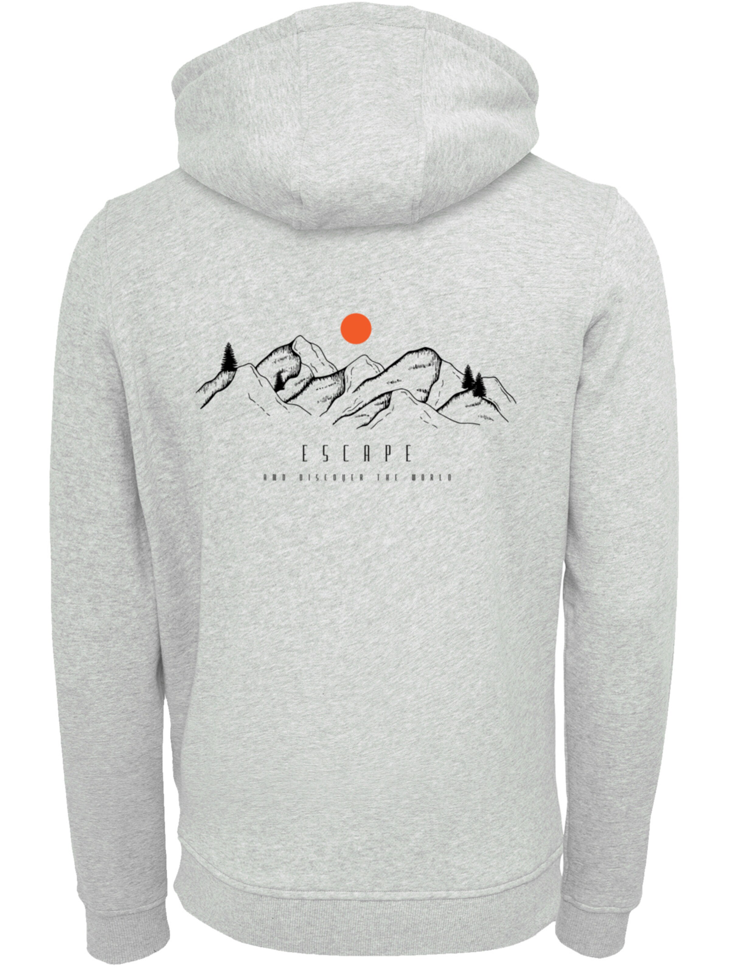 F4NT4STIC Sweatshirt in Grau