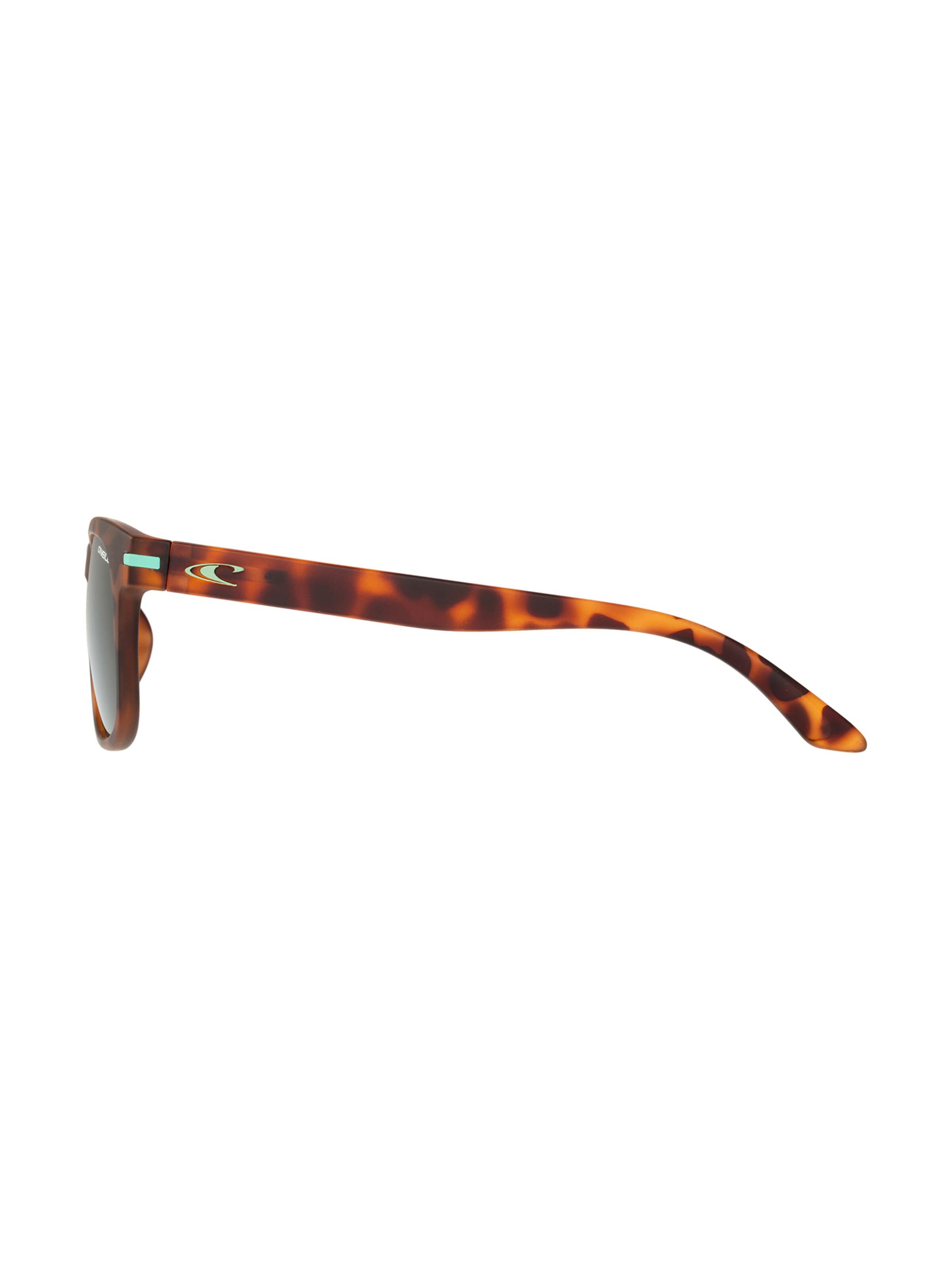 O’Neill Eyewear Sunglasses in Brown