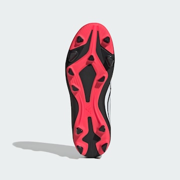 Chaussure de sport 'Predator Club' ADIDAS PERFORMANCE en noir