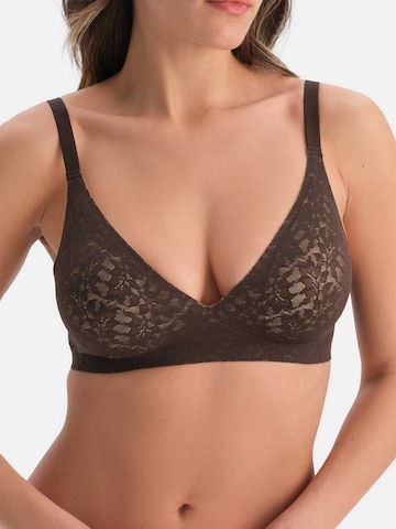Triangle Soutien-gorge Dagi en marron