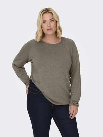 ONLY Carmakoma Pullover 'CARLADY' in Braun: predná strana