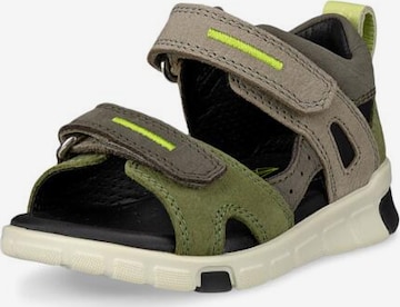 ECCO Sandals in Green: front