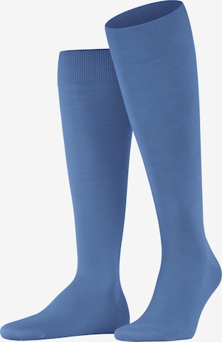 FALKE Kniestrümpfe 'ClimaWool' in Blau: Vorderseite