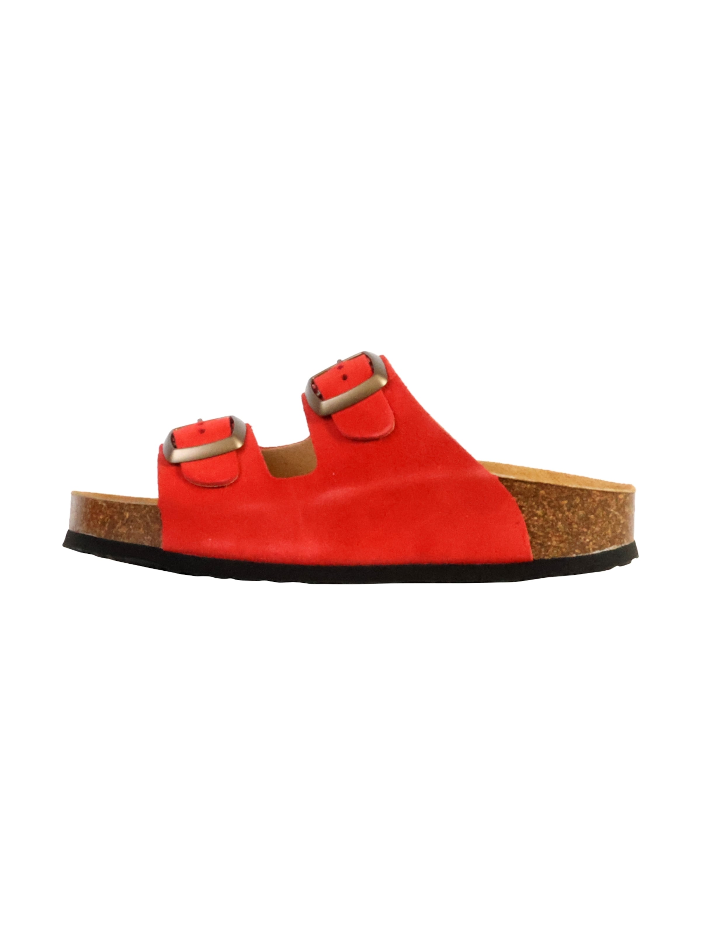 Plakton Muiltjes in Rood: voorkant