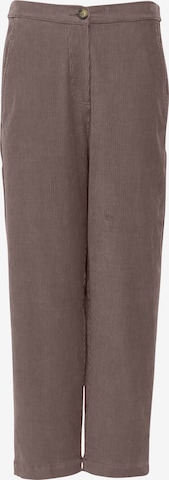 mazine Pants ' Sanjo Pants ' in Brown: front