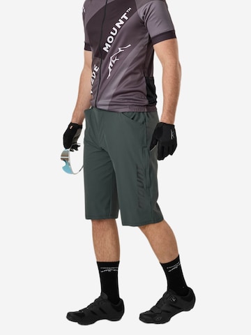 SWEDEMOUNT Regular Sporthose 'Core'‌‌‌‌‌‌‌‌‌ in Grün