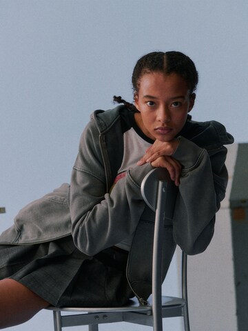 THE ELECTRIC STATE COLLECTION - Sudadera con cremallera en gris