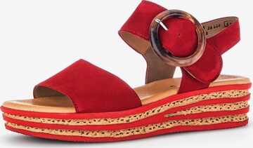 GABOR Strap Sandals in Red: front