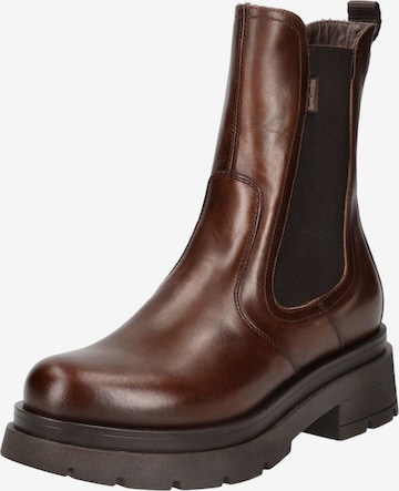 Nero Giardini Chelsea Boots 'Delavato Gressan2' in Braun: Vorderseite