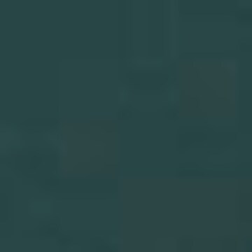 Tamaris Overall in Grün