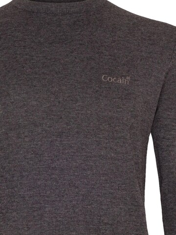 Cocain Underwear Sweater in Grey