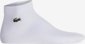 Chaussettes de sport Lacoste Sport en gris