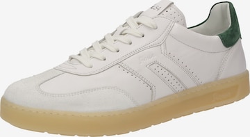 Baskets basses 'Tedroso-711' SIOUX en blanc : devant